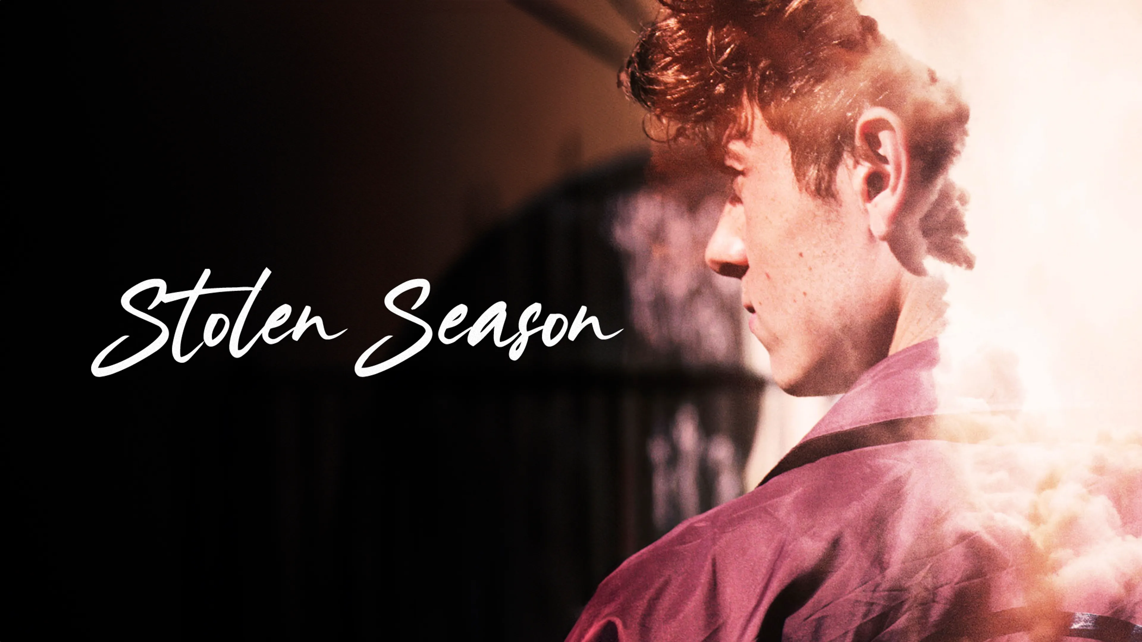 Stolen Season poster